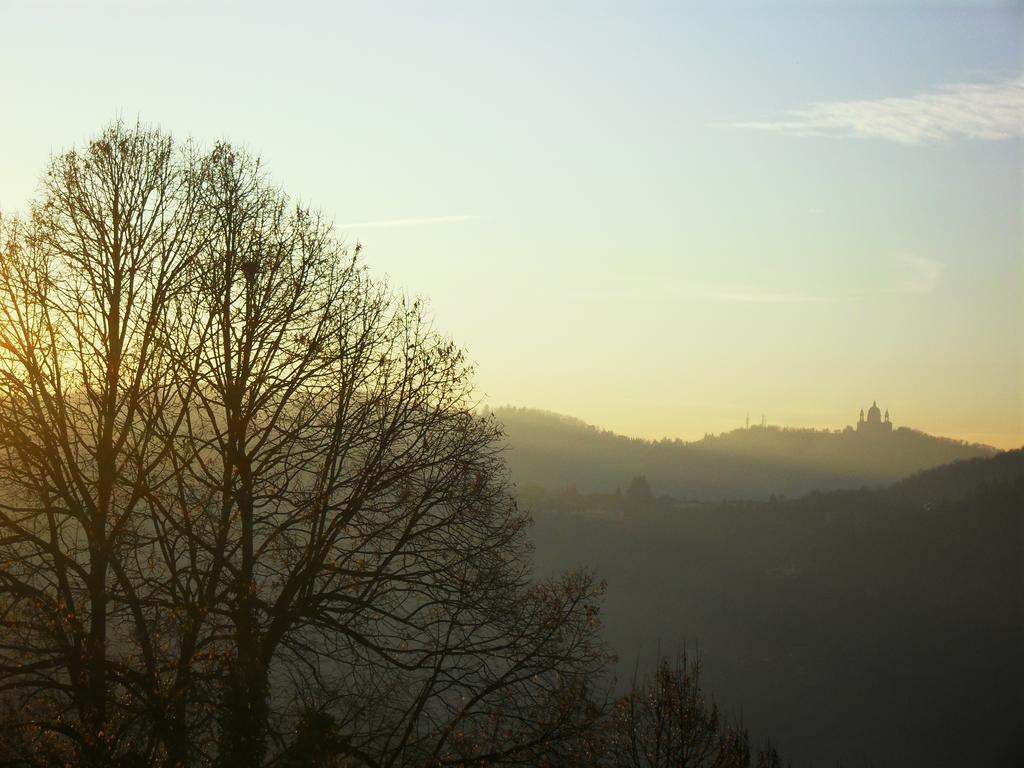 Il Cortiletto Dei Capperi Bed & Breakfast Gassino Torinese Стая снимка